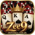 Zee 9 game